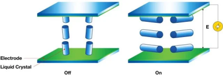 1708877994978.png